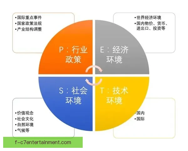 从数据视角解读布鲁诺费尔南德斯意甲稳定性演变规律观察与成因分析